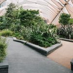 Jardinera plantas de sombra