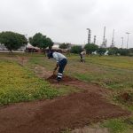 Mantenimiento de jardines en Lima