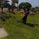 Servicio de jardinería profesional en Lima