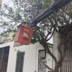 Poda y mantenimiento de áreas verdes Lima