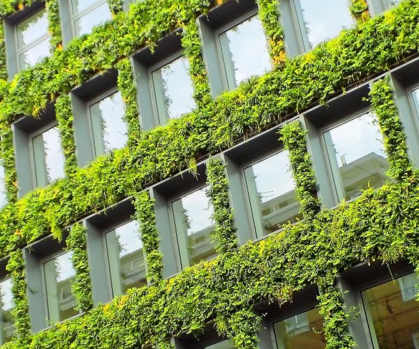 grass walls, london building, london-2651587.jpg