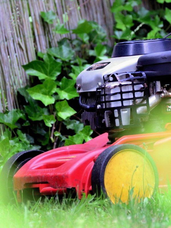 lawn mower, mow, gardening-5329715.jpg