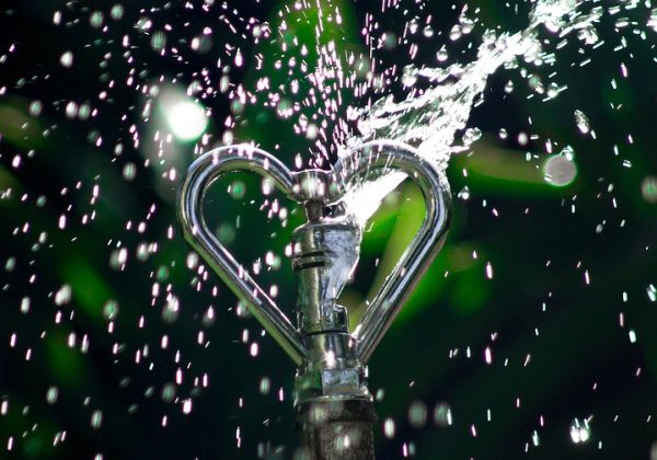 sprinkler, irrigation, droplets-6939642.jpg